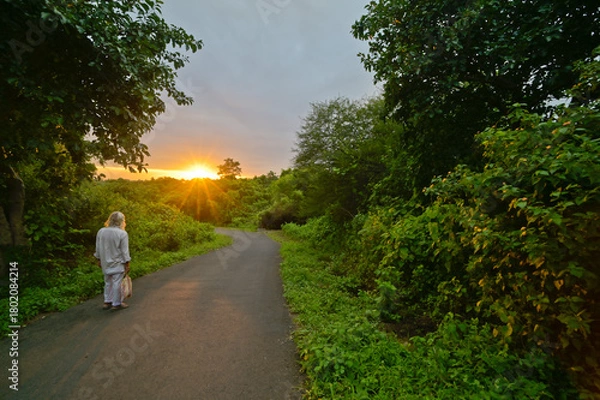 Obraz Walk through the forest at sunset, India.
