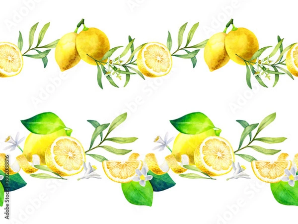 Obraz Watercolor set of lemon borders with olive branches and flowers isolated on a white background.
