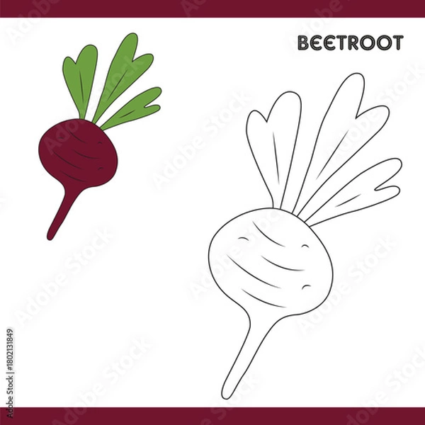 Obraz Beetroot Copy Colour worksheet for kids
