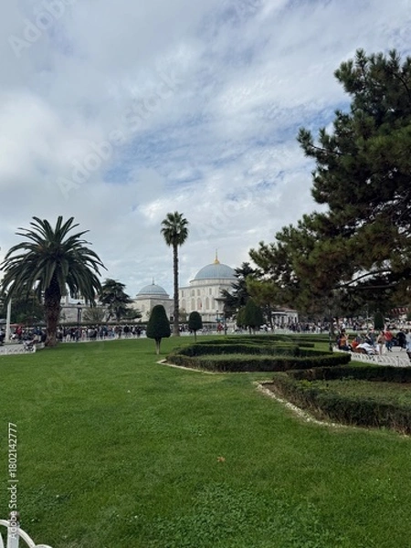 Obraz palm trees in the park