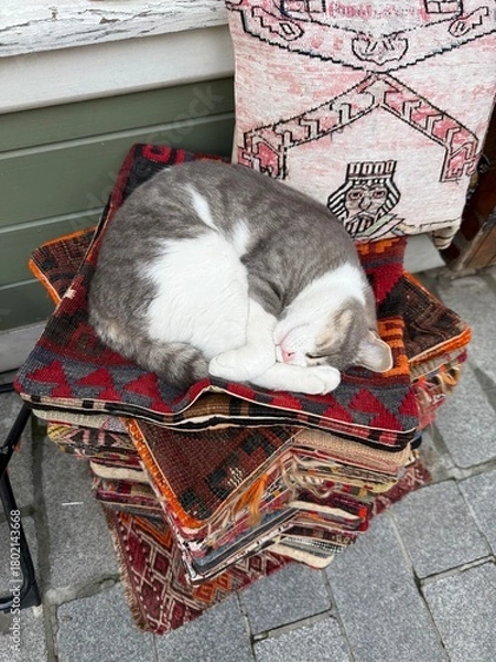 Obraz cat sleeping on rug