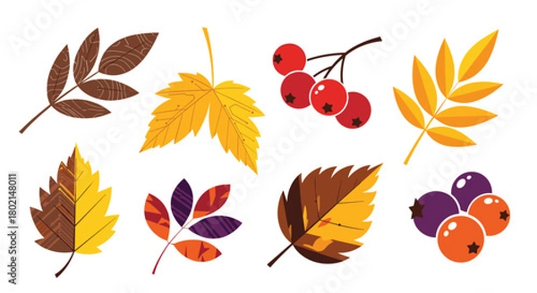 Fototapeta Collection of stylized autumn leaves and berries in warm fall colors on a white background.