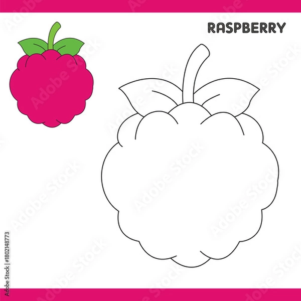 Obraz Raspberry Copy Colour worksheet for kids