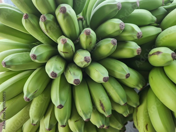 Fototapeta Vibrant bunch of fresh green bananas, showcasing natural texture and healthy organic produce ready for consumption or culinary use