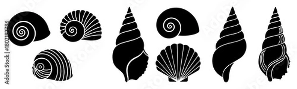 Obraz seashell silhouette collection sea shell icons set