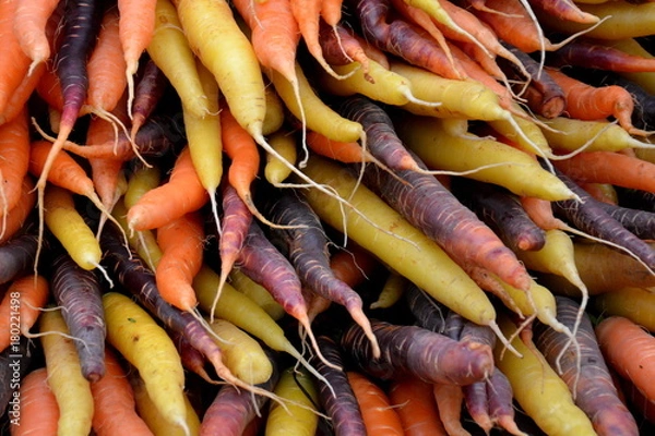 Obraz Bunte Karotten