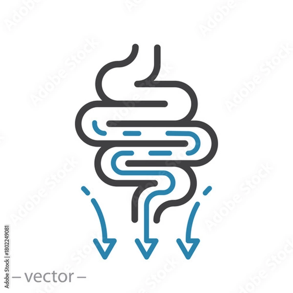 Fototapeta Process Digestive Transit Icon Vector Line Illustration