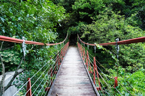 Fototapeta 御殿山さくらつり橋