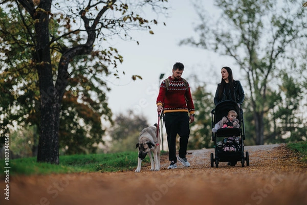 Fototapeta A man in a red sweater walks a large dog while a woman pushes a baby stroller along a leaf-covered path in an autumn park. Calm, family moment in nature.