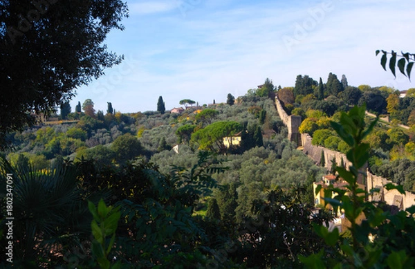 Obraz Hills and Ancient City Walls of Florence, Italy