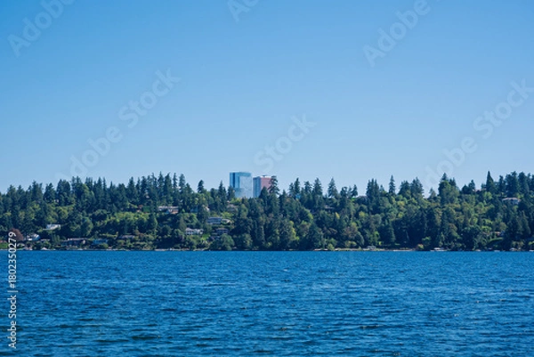 Obraz 2025-08-11 VIEW OF LAKE WASHINGTON WITH A LUSH TREE LINE AND BUILDINGS IN BELLEVUE WASHINGTON FROM MERCER ISLAND WASHINGTON