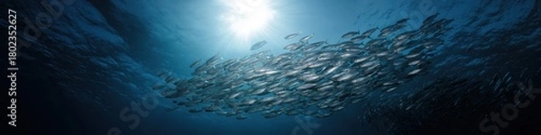 Obraz Underwater view of a large school of fish swimming beneath sunlight