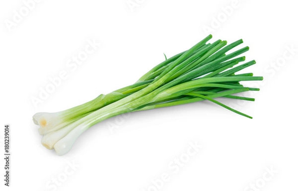 Fototapeta Green onion isolated on the white background
