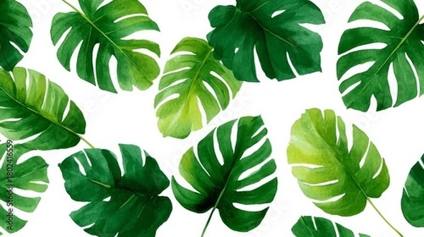 Fototapeta A collection of vibrant green monstera leaves on a white background. Each leaf features unique shapes and textures, bringing a refreshing touch. This artistic design is perfect for decor. AI