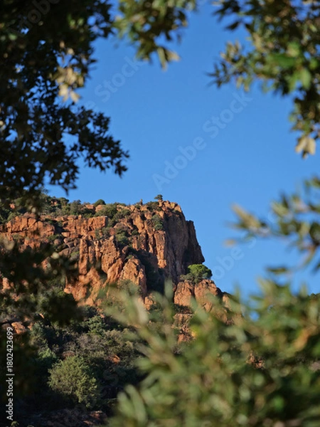 Fototapeta L'Esterel