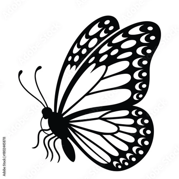 Fototapeta A captivating butterfly silhouette with intricate wing patterns, isolated on, showcasing the beauty and elegance of natures delicate creatures