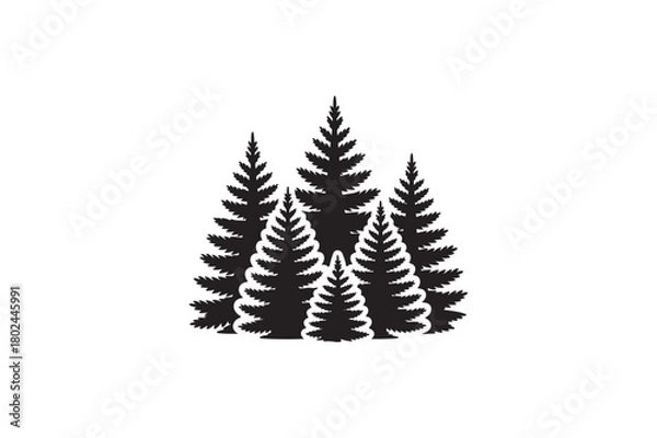 Obraz Blue Spruce Landscaping tree vector silhouettes black image.