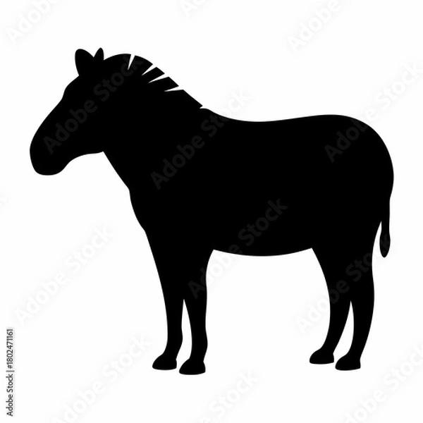 Fototapeta Silhouette of a standing zebra with short mane on a white background