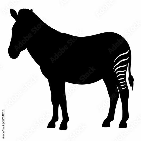 Fototapeta Silhouette of a zebra, standing on all fours, with short stripes