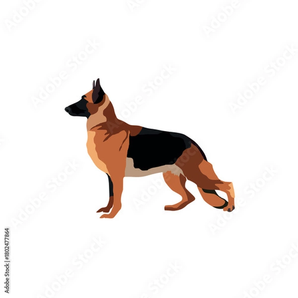 Fototapeta German shepherd dog vector on an isolated white background.eps
