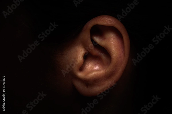 Fototapeta Ear