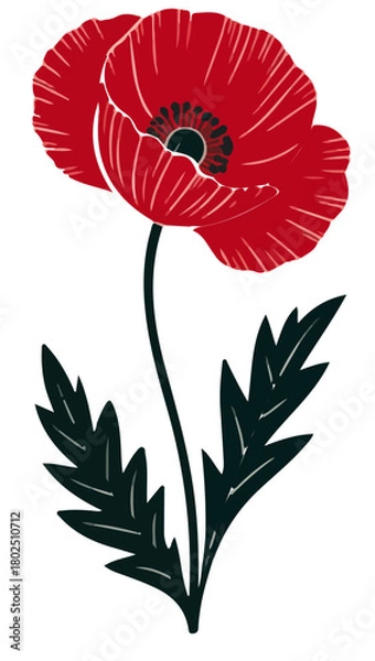 Fototapeta Crimson Poppy Bloom, poppy flower, red poppy, floral illustration, botanical art, vector flower, poppy bloom, nature artwork, floral design,
