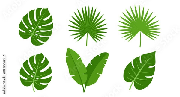 Fototapeta Tropical foliage collection: monstera, palm, and banana leaves in flat style