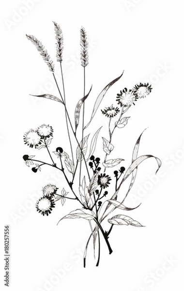 Fototapeta Hand drawn painting with black and white flowers on white background.