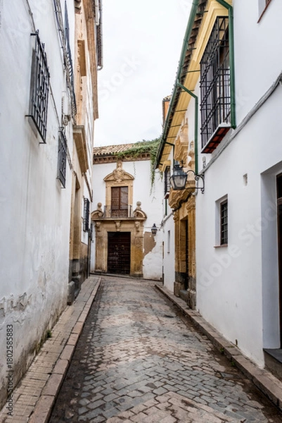 Fototapeta Old typical narrow street in Cordoba with old buildings with white walls decorated with colorful flower pots