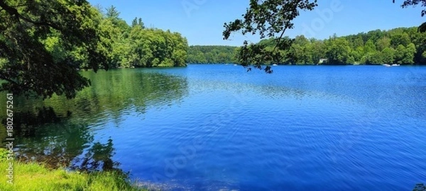 Obraz Las nad jeziorem 