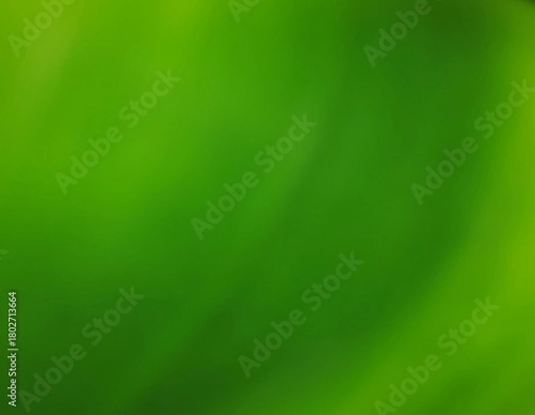 Obraz green abstract background