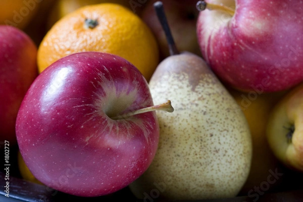 Obraz bowl of fruit