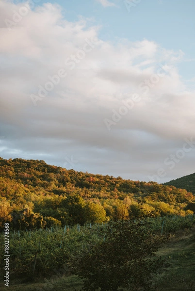 Obraz autumn landscape in the mountains