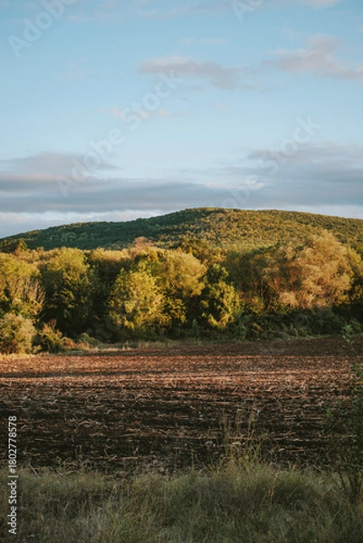 Obraz autumn landscape with a lake