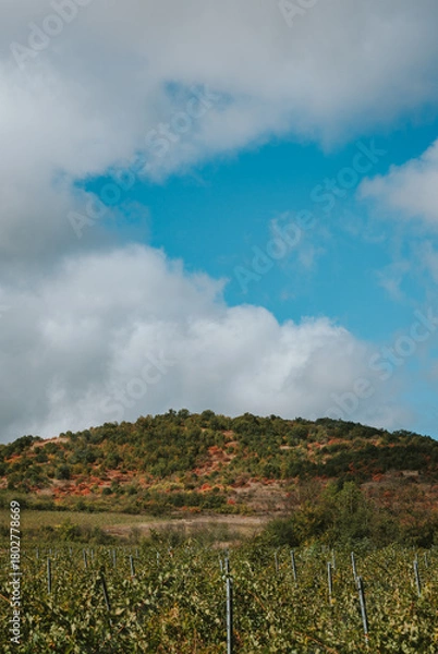 Obraz view of the hills