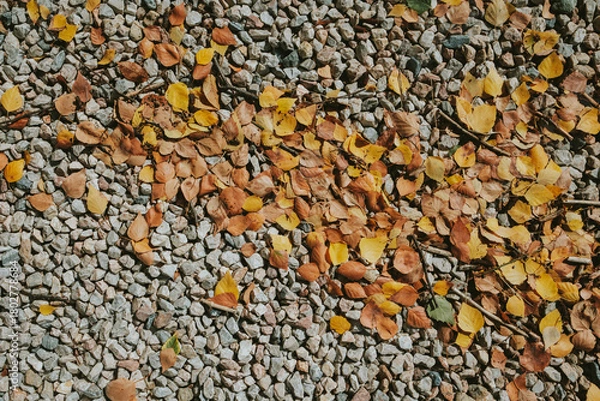 Obraz texture of stone