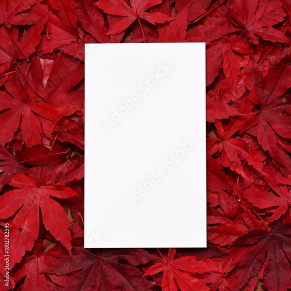 Obraz Autumnal background with red leaves
