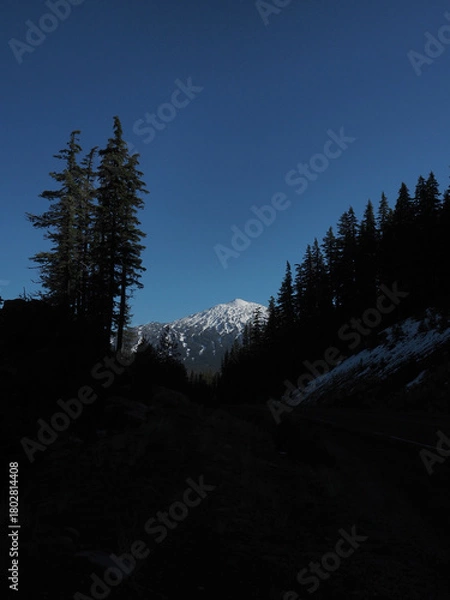 Obraz Mt. Bachelor seen through trees in the Deschutes National Forest on a nice fall day.