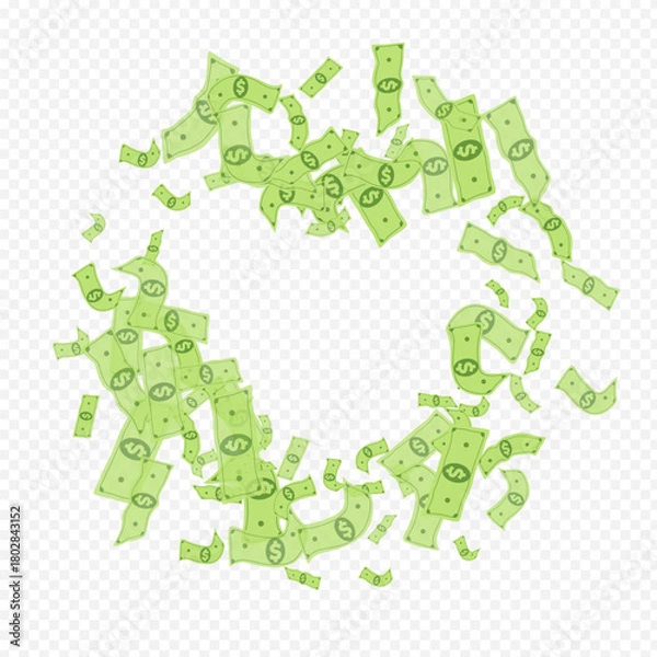 Obraz dollar_fly_transparent_1387.eps