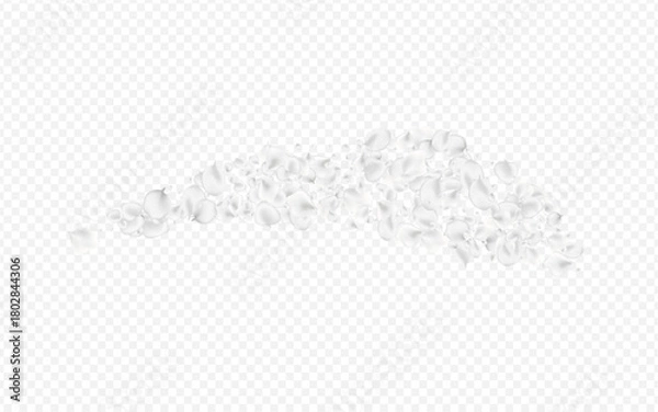 Obraz White_petals_transparent_background_293.eps