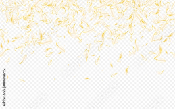 Obraz Yellow_petals_transparent_background_39.eps