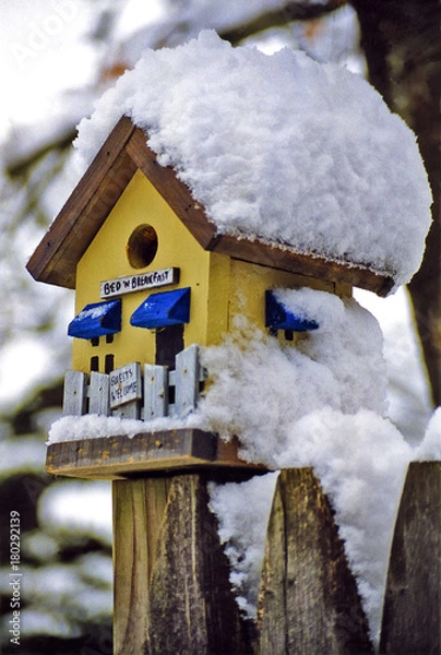 Obraz Snow Covered Bird House