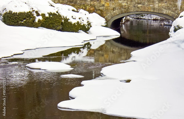 Fototapeta Winter Stream