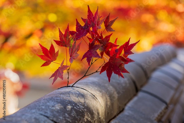 Obraz Red Autumn Maple Leaves On Traditional Stone Wall