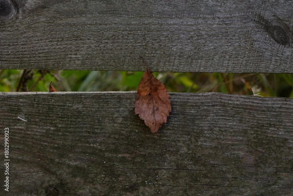 Obraz old wooden fence with a black background. texture.