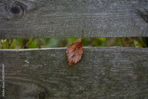 Obraz old wooden fence with a black background. texture.