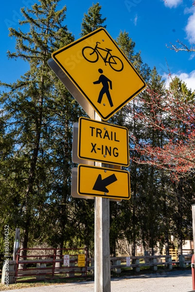 Obraz Trail Crossing Sign