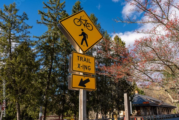 Obraz Trail Crossing Sign