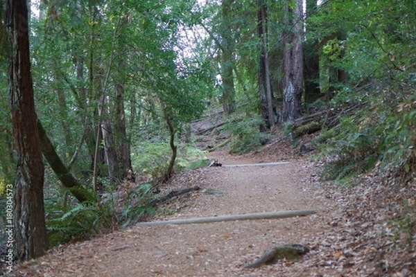 Obraz Austin Creek State Recreation Area - park encompassing an isolated wilderness area. Its includes ravines, grassy hillsides, oak-capped knolls, and rocky summits offering glimpses offering glimpses.