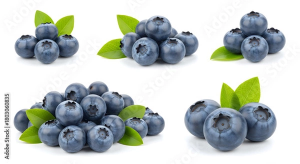 Fototapeta Fresh Blueberry Clusters and Piles with Leaves on White Background